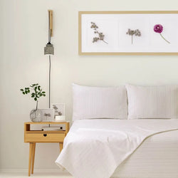 Juego de Sábanas Kaltex Kent