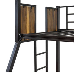 Litera Liz Individual-Matrimonial