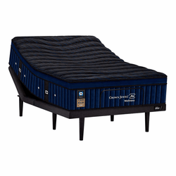 Cama Crown Jewel Wellness