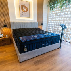 Cama Crown Jewel Wellness