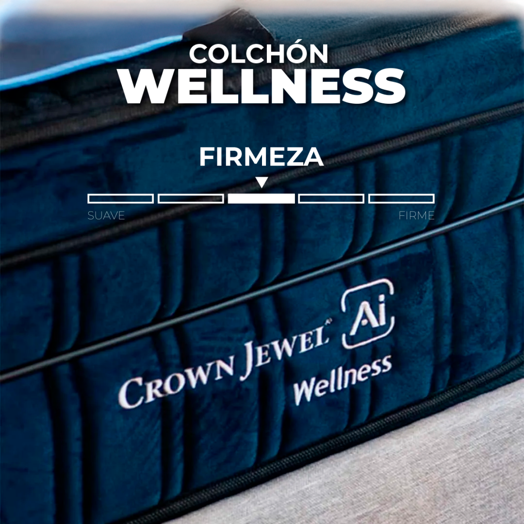 Wellness: Máxima expresión de elegancia y sofisticación