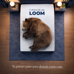 Colchón Sleep Fitness Loom